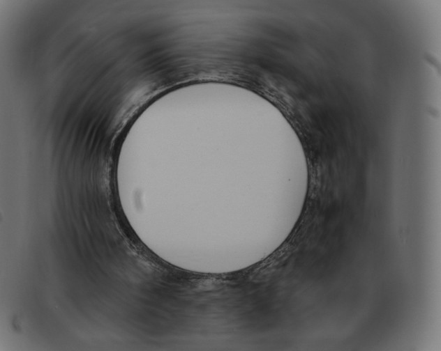X0000092330098200710121542