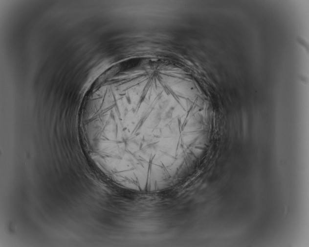 X0000092330099200710121542
