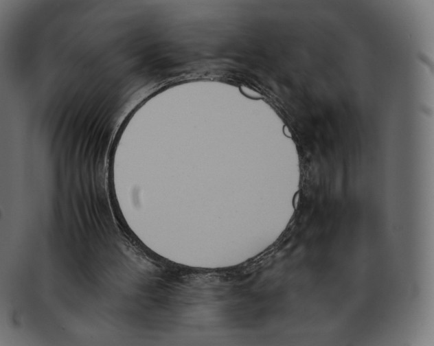 X0000092330100200710121542