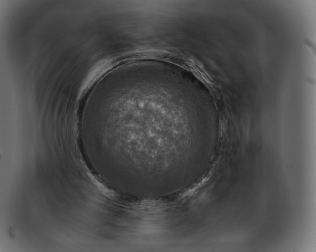 X0000092330101200710121542