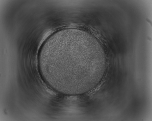 X0000092330102200710121542
