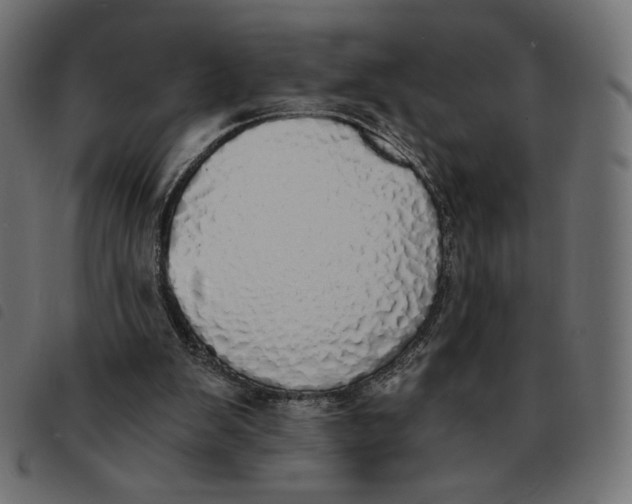 X0000092330103200710121542