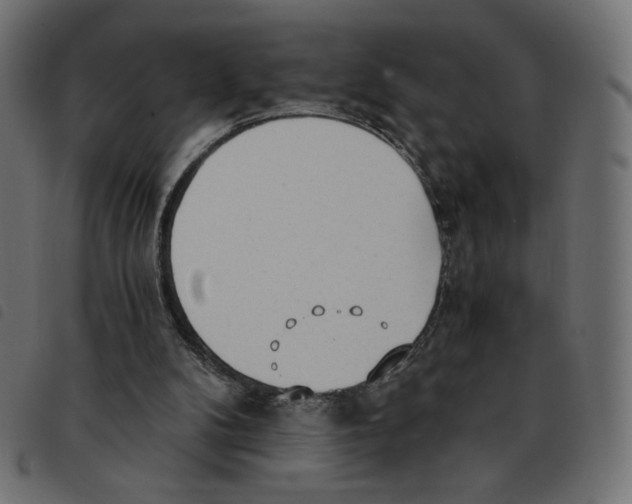 X0000092330104200710121542