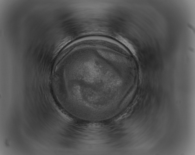 X0000092330105200710121542