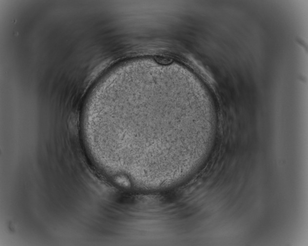 X0000092330107200710121542