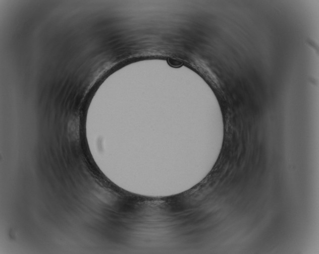 X0000092330108200710121542