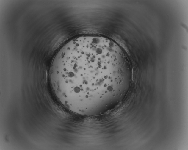 X0000092330109200710121542