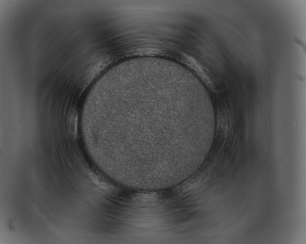 X0000092330110200710121542