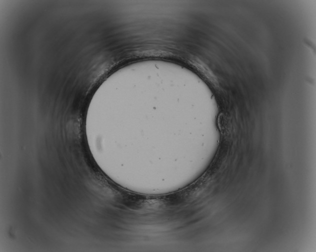 X0000092330111200710121542
