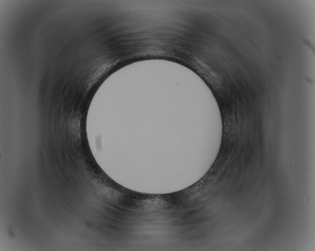 X0000092330112200710121542