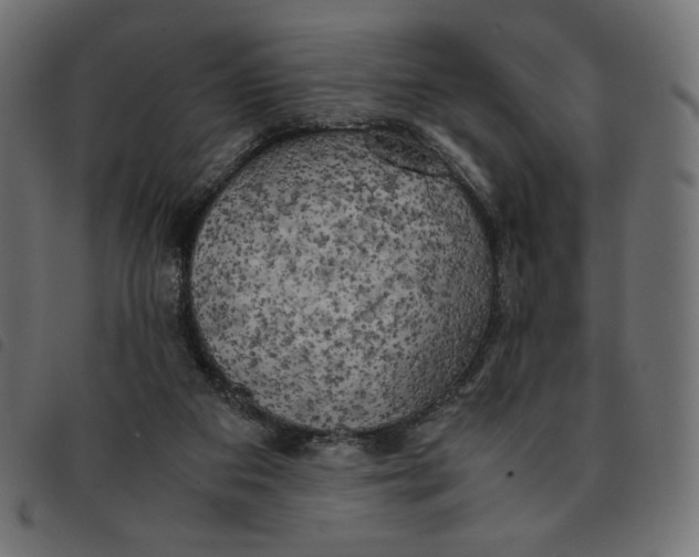 X0000092330113200710121542