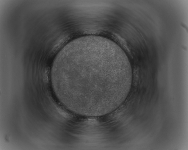 X0000092330114200710121542