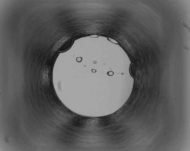 X0000092330116200710121542