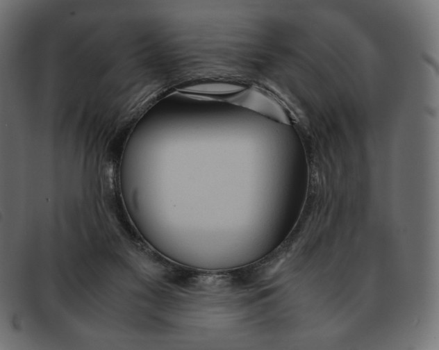 X0000092330117200710121542
