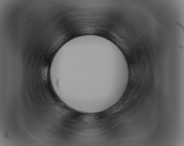X0000092330118200710121542