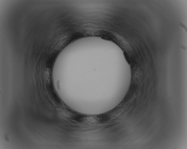 X0000092330121200710121542