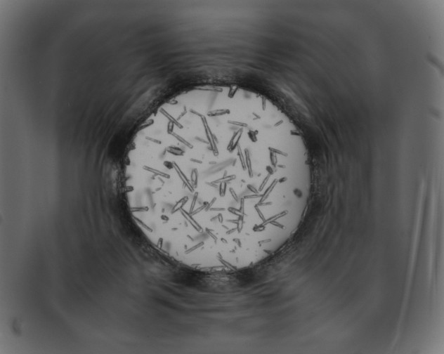 X0000092330123200710121542