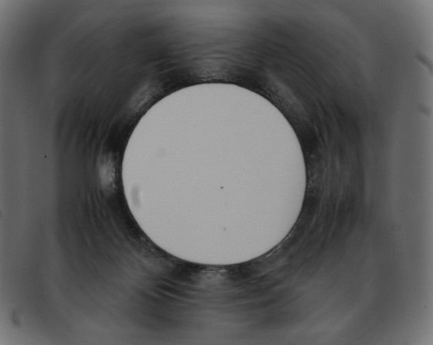 X0000092330124200710121542