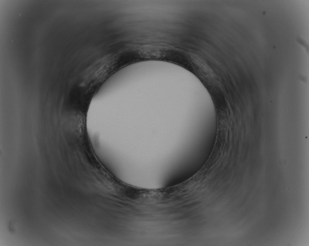 X0000092330125200710121542