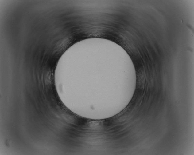 X0000092330126200710121542