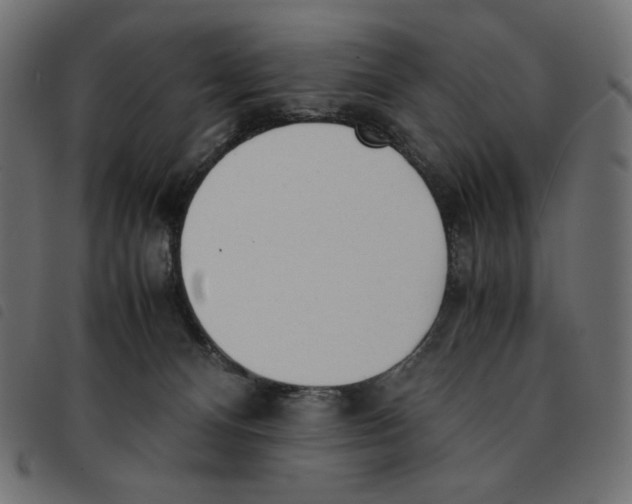 X0000092330128200710121542