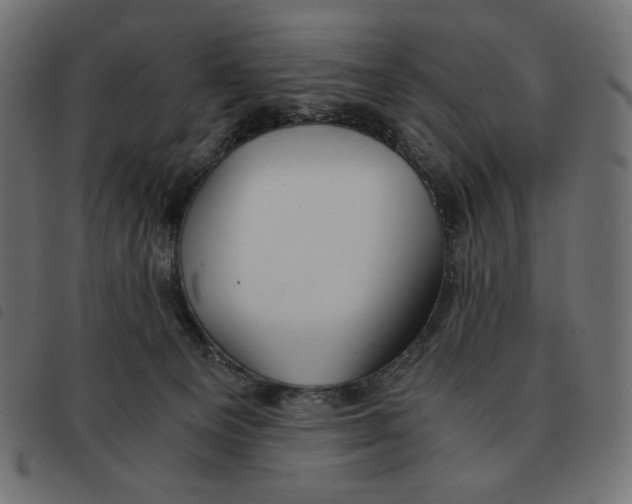 X0000092330129200710121542