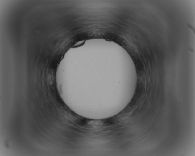 X0000092330133200710121542