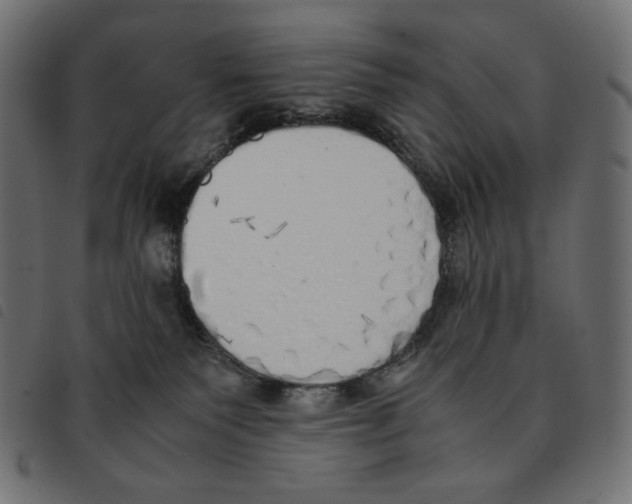 X0000092330135200710121542