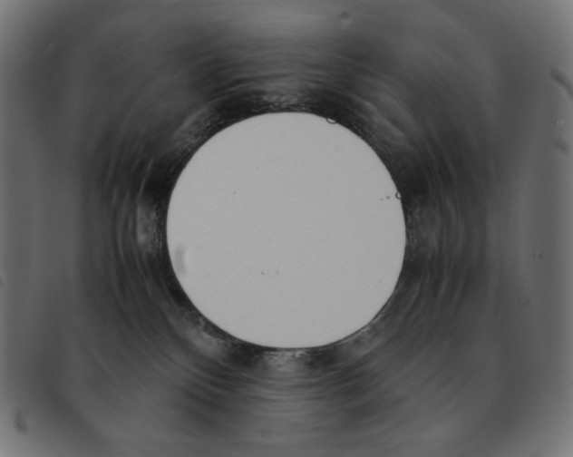 X0000092330136200710121542