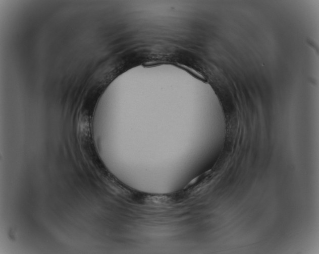 X0000092330137200710121542
