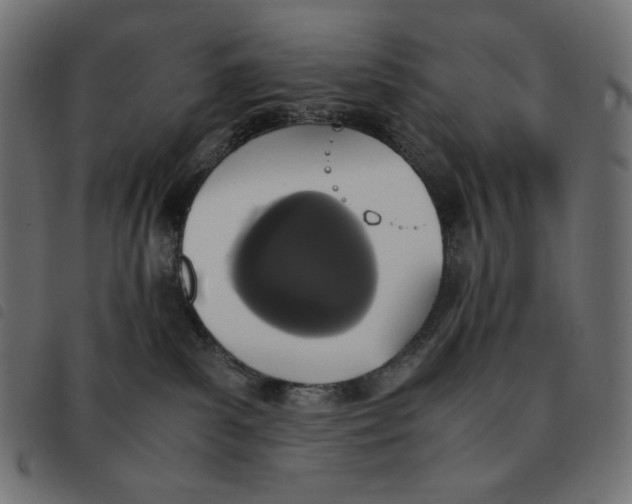 X0000092330139200710121542