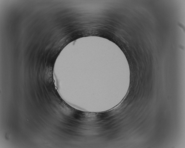 X0000092330144200710121542