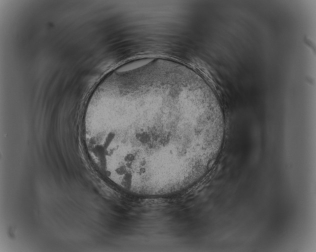 X0000092330145200710121541