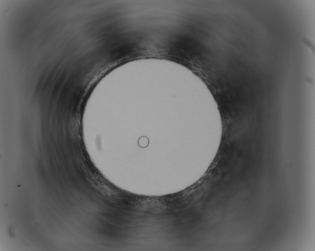 X0000092330146200710121541