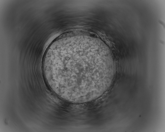 X0000092330147200710121541