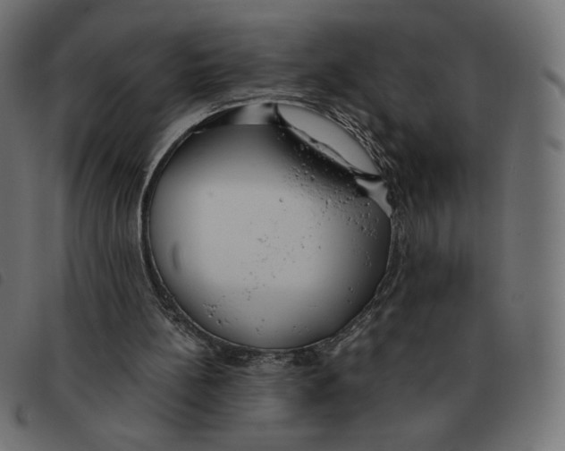 X0000092330148200710121541