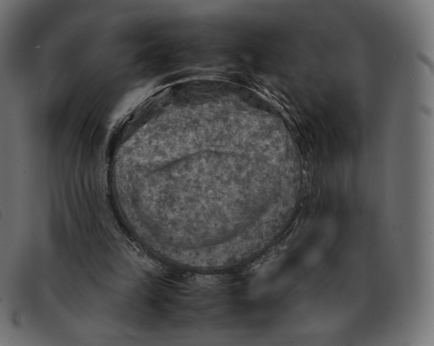 X0000092330149200710121541