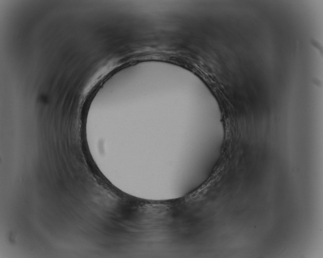 X0000092330150200710121541