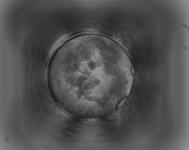 X0000092330151200710121541