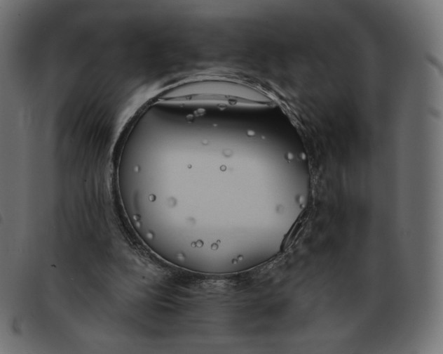 X0000092330152200710121541