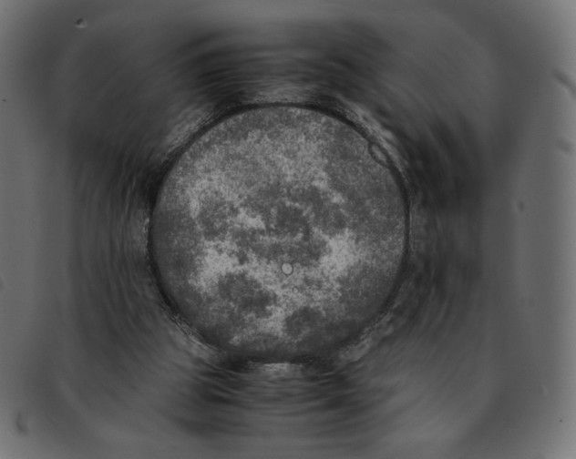 X0000092330153200710121541