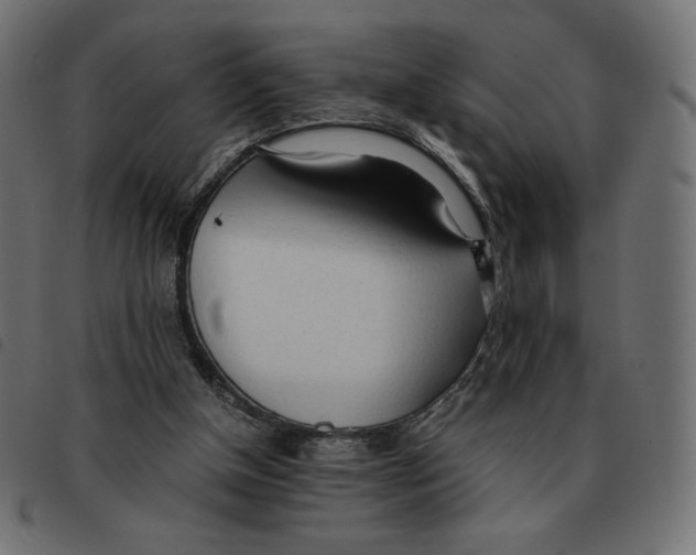 X0000092330154200710121541
