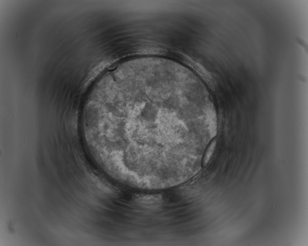 X0000092330155200710121541