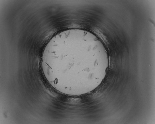 X0000092330157200710121541