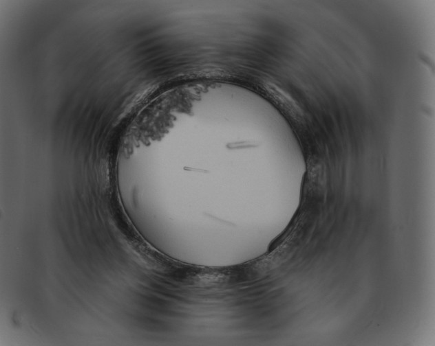 X0000092330158200710121541