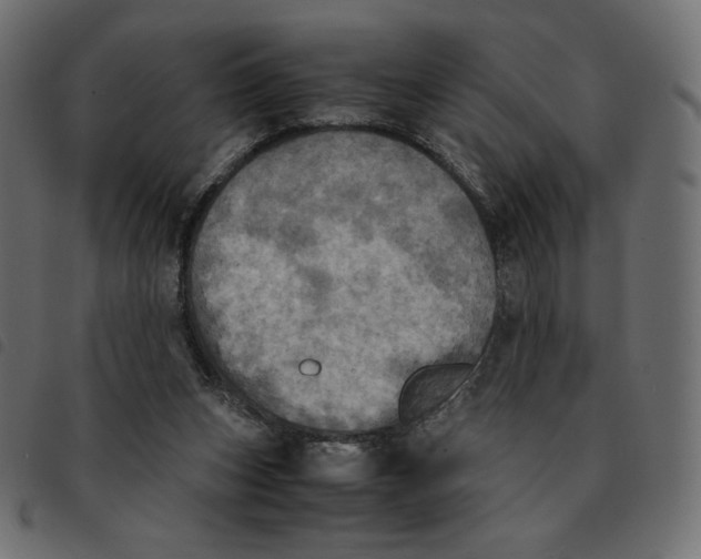 X0000092330159200710121541
