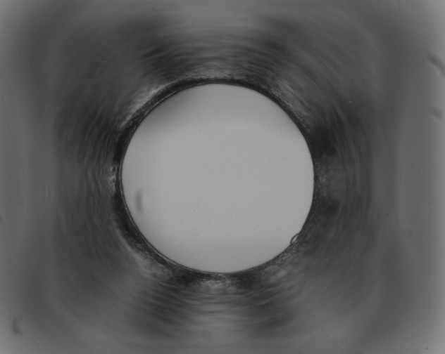 X0000092330160200710121541