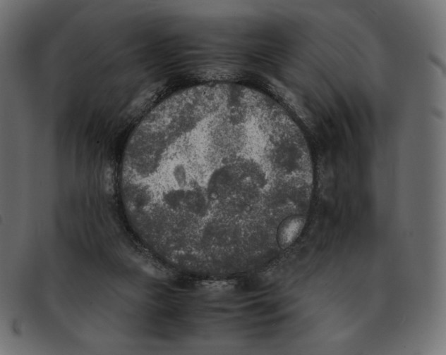 X0000092330161200710121541
