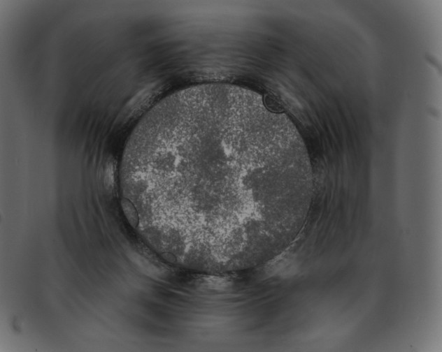 X0000092330166200710121541