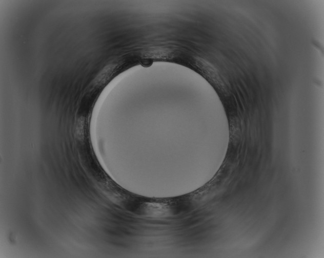 X0000092330167200710121541